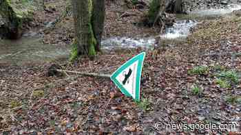 Schäden im Naturschutzgebiet Bommecketal: Stadt Plettenberg ... - come-on.de