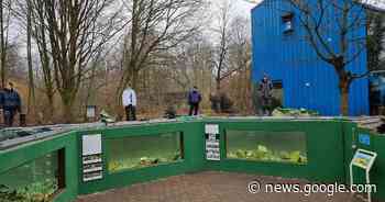 Grevenbroich: Neuer Gewässerlehrpfad am Schneckenhaus - Rheinische Post