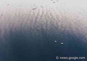 Low Temperatures Increase Risk of Slippery Conditions and Accidents - My Comox Valley Now