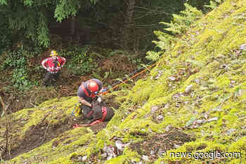 Firefighters rescue dog that fell down rocky ridge south of Nanaimo ... - Comox Valley Record