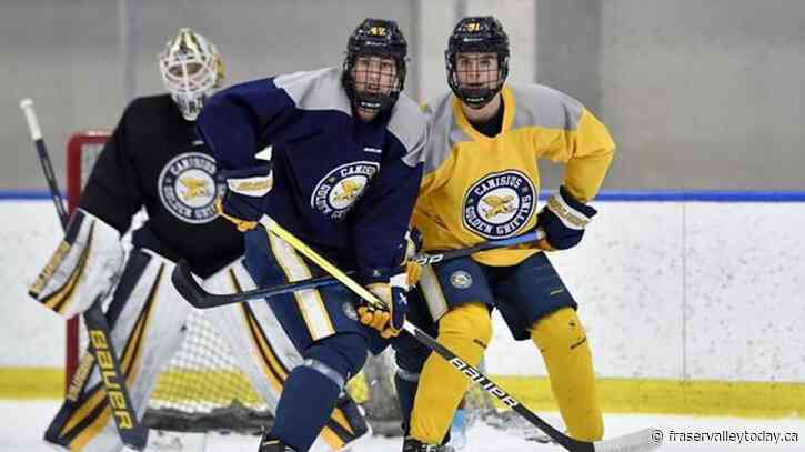 Paul Henderson to celebrate 80th with grandson on the ice