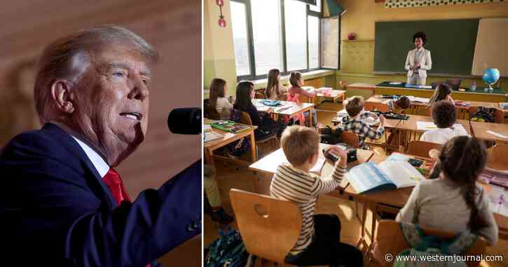 Trump's Plan to Save Every American School Is So Simple: 'Have Them Fired and Escorted from the Building'