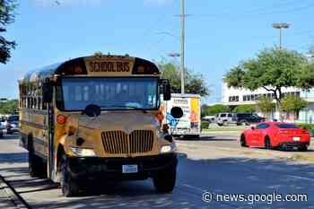 Cittadella, malore alla guida dello scuolabus: 63enne muore sul colpo - Positano Notizie