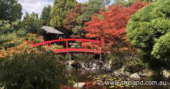 Strike a pose in rich red | In Fiona's Garden