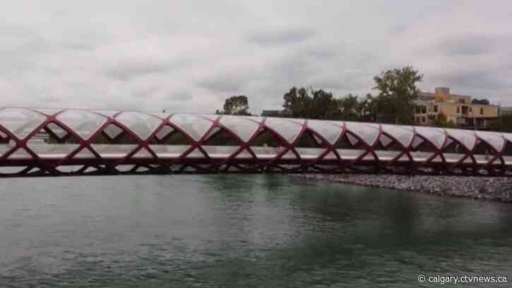Man found guilty of Peace Bridge vandalism sentenced, then released from jail