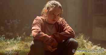 HBO Hit 'The Last of Us' Renewed for Season 2     - CNET