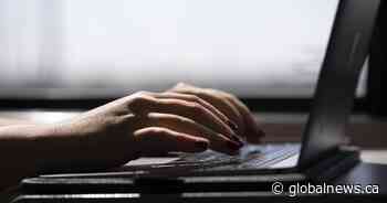 Saskatchewan tech companies receive high interest despite layoffs from Meta, Google, others