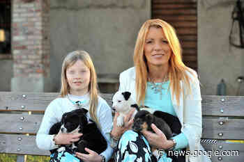 Abbandonati a Lissone: 5 cuccioli di cane in tv per l'adozione con ... - Il Cittadino di Monza e Brianza