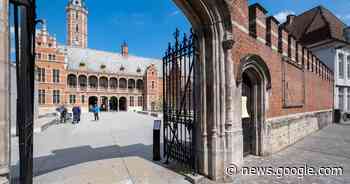 Museumtuinen Hof van Busleyden kleuren opnieuw groen dankzij ... - Het Laatste Nieuws