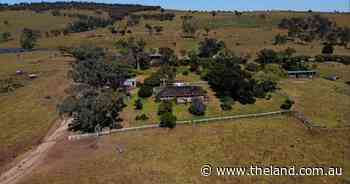 Productive basalt country for 350 breeders