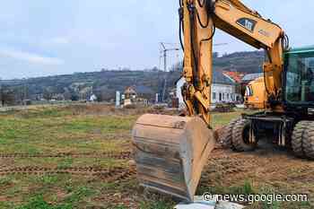 Breisach versteigert Bauplätze gegen Höchstgebot - Breisach - badische-zeitung.de