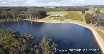 Premium large scale avocado enterprise on the market