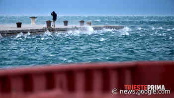 Trieste nella morsa del maltempo: frane, bora a 120, chiusi i giardini pubblici - TriestePrima