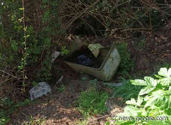 Eternit, pneumatici e scarti edili abbandonati nelle campagne tra ... - Centropagina