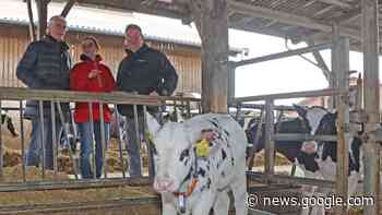 Sky du Mont besichtigt Milchviehhof im Landkreis Northeim - hna.de