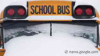 School bus cancellations in Ottawa for Jan. 26, 2023 | CTV News - CTV News Ottawa