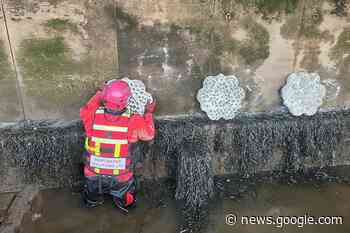 Artificial habitats to bring water quality benefits at Whitby - GOV.UK