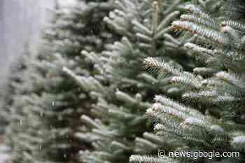 Major power outages in Ajax, Oshawa, Pickering, and Whitby as the ... - insauga.com