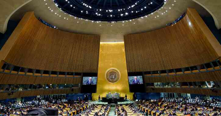Op-Ed: It's Time to Close the American Checkbook - Defund the UN and WHO