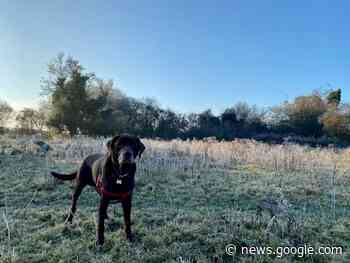 Mark Armstrong: How running can help process grief - Eastern Daily Press