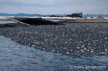 How Aurora recycles enough wastewater to serve tens of thousands ... - The Colorado Sun