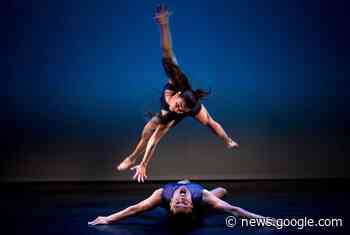 Review: Sandra Laronde's Miigis: Underwater Panther retells ... - The Globe and Mail