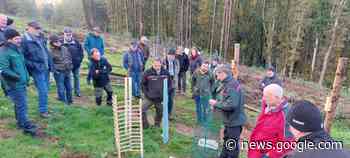Exkursion und Baumpflanzaktion: Forstbetriebsgemeinschaft ... - Wochenblatt-Reporter