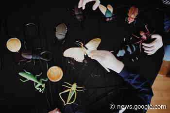 Craft Supply Swap coming to Weyburn Public Library - DiscoverWeyburn.com