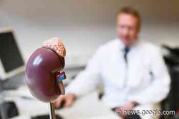 Wie Nieren und Blutdruck zusammenhängen - Forschungsstiftung ... - forschungsstiftung.uk-erlangen.de