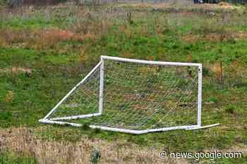 Kleine Mauer soll im geplanten Denzlinger Baugebiet Hinterm Hof ... - badische-zeitung.de