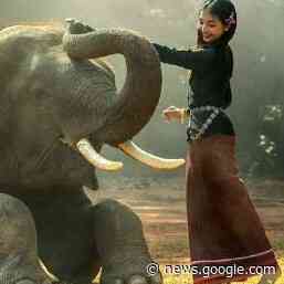 Café philo du Chemin du Philosophe : "La douceur est-elle une ... - Le journal de François