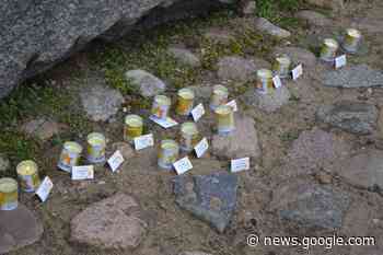 A conversation with Sophie Tasie Wimborne, president of Durham ... - Palatinate