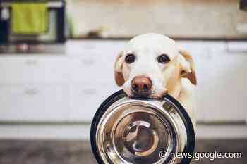 Chewy stock gains as Wedbush shifts to bullish outlook (NYSE:CHWY) - Seeking Alpha