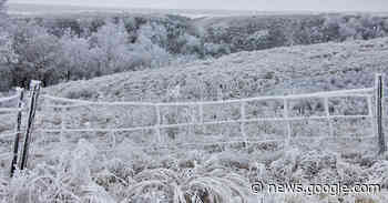 Saskatchewan does have a constitution; it's called Treaty - Policy Options