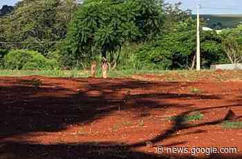 Moradores se assustam com mãos saindo da terra, em Cascavel - Portal Rondon