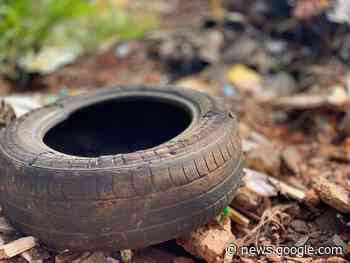 Cascavel tem 19 casos de dengue confirmados e mais de 2 mil ... - Tarobá News