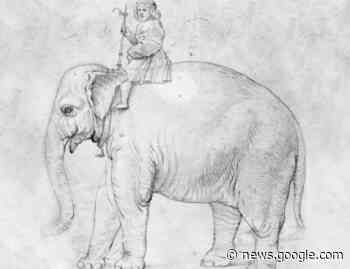 De elefantes y burros - LetrasLibres.com