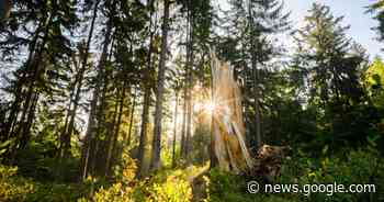 Kurs Klimafit in Neunkirchen - Saarbrücker Zeitung