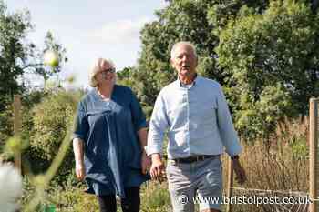 The Bristol flower grower reducing the carbon footprint one bouquet at a time