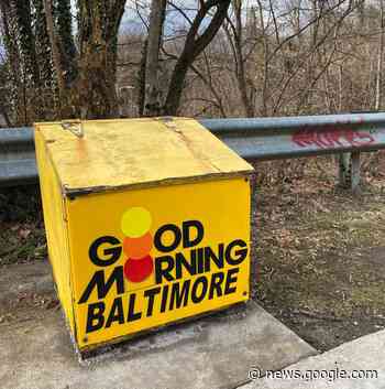 'Showing the whole world how cool Baltimore is': Salt box artist ... - The Baltimore Banner
