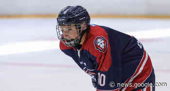 D2. J6 Report - Wasquehal tombe encore - Championnats et ... - FFHG