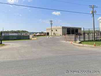 Hawk Patrol May Soon Protect Baltimore County Landfill From ... - Patch