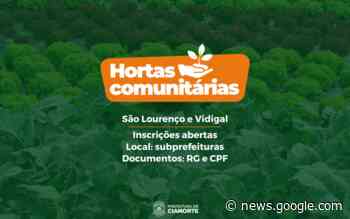 VIDIGAL E SÃO LOURENÇO RECEBEM HORTAS COMUNITÁRIAS - FOLHA REGIONAL DE CIANORTE