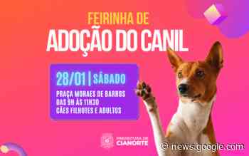 FEIRINHA DE ADOÇÃO DO CANIL MUNICIPAL ACONTECE ... - FOLHA REGIONAL DE CIANORTE