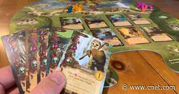 The 10 Best Card Games in 2023     - CNET