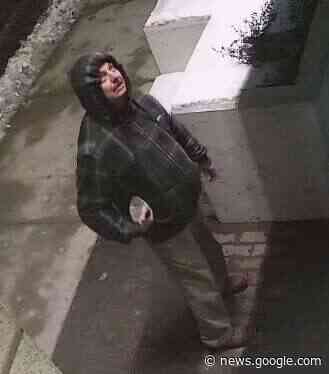 Police seek assistance to identify suspect in downtown Kingston ... - Kingstonist