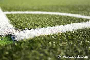 Calcio, il calendario del Parma: le grandi sfide nella lotta per i playoff - Luca Galvani