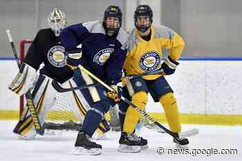 Paul Henderson to celebrate 80th with grandson on the ice - Virden Empire Advance