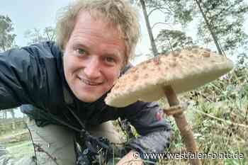 „Weigels wilde Welt“ im World Wide Web