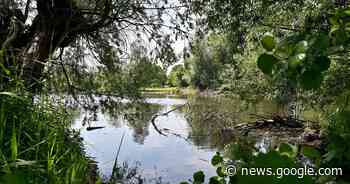 Niepkuhlen in Krefeld: Fördermittel für Erhalt in Aussicht - Westdeutsche Zeitung